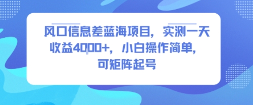 风口信息差蓝海项目，实测一天收益4k+，小白操作简单，可矩阵起号-拾涧工坊