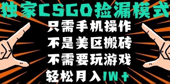 CSGO自动捡漏项目，最新独家玩法，不是美区搬砖，不需要了解和玩游戏，新手小白轻松月入1W+【揭秘】-拾涧工坊
