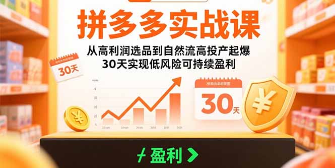 拼多多实战课：从高利润选品到自然流高投产起爆 30天实现低风险可持续盈利-拾涧工坊