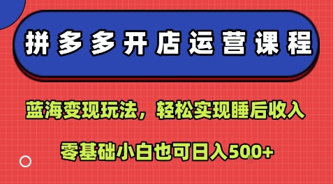 拼多多开店运营课程：蓝海变现玩法，轻松实现睡后收入，零基础小白也可日入5张-拾涧工坊