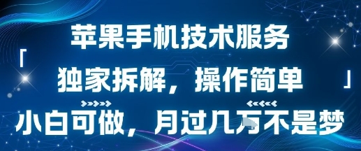 苹果手机技术服务，独家拆解，操作简单，小白可做，月过1W不是梦-拾涧工坊