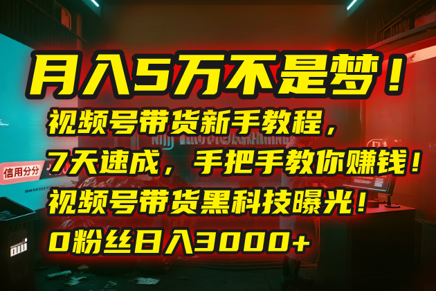 月入5万不是梦！视频号带货新手教程，7天速成，手把手教你赚钱！视频号…-拾涧工坊