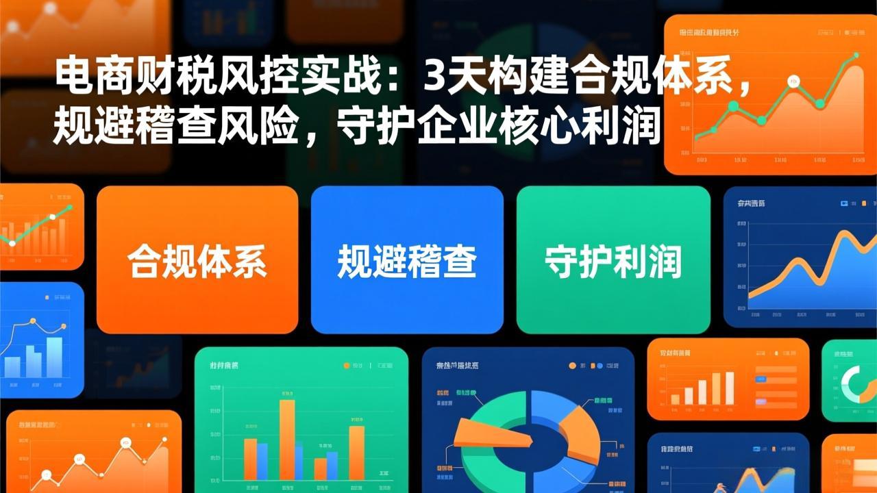 电商财税风控实战：3天构建合规体系，规避稽查风险，守护企业核心利润-拾涧工坊