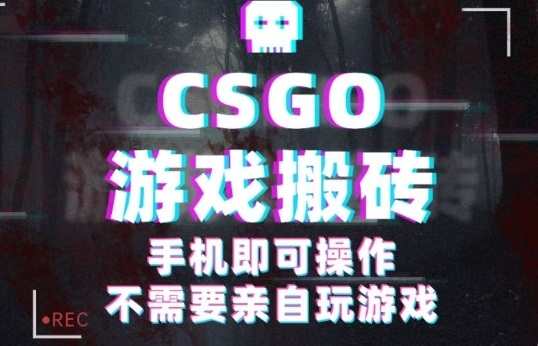 CSGO游戏挂G捡漏，单日扫货5张+，年底小高峰上车可吃肉，手机即可操作，兼职副业创业网创【揭秘】-拾涧工坊