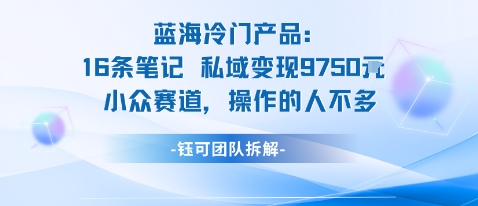 蓝海项目：16条笔记私域变现9750米小众赛道操作的人不多-拾涧工坊
