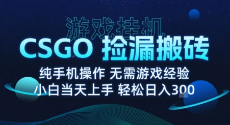 8月最新游戏搬砖，CSGO纯挂G，不需要玩游戏，实现真挂G，月入1W+【揭秘】-拾涧工坊