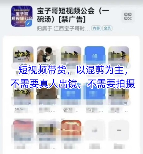 宝子哥头部团队短视频带货，以混剪为主，不需要真人出镜，不需要拍摄【更新9月】-拾涧工坊