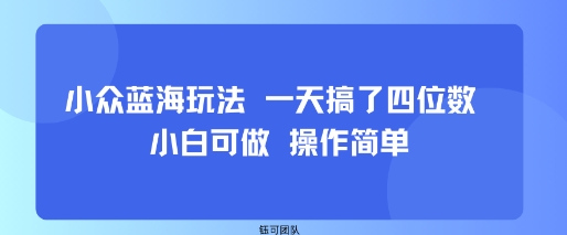 小众蓝海玩法 一天搞了四位数 小白可做 操作简单-拾涧工坊